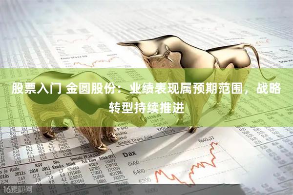 股票入门 金圆股份：业绩表现属预期范围，战略转型持续推进