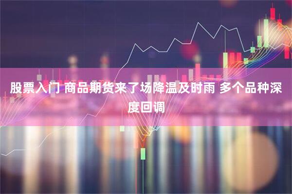 股票入门 商品期货来了场降温及时雨 多个品种深度回调