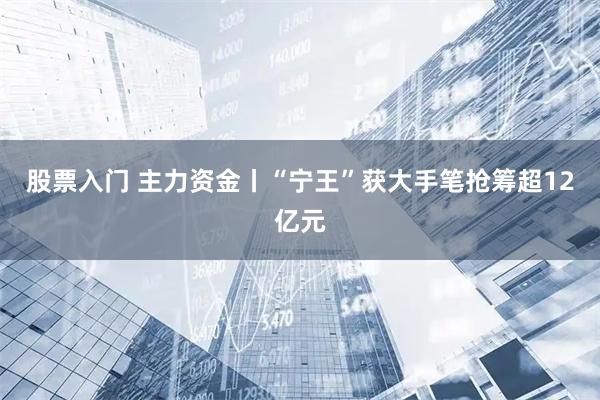 股票入门 主力资金丨“宁王”获大手笔抢筹超12亿元